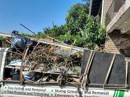 Best Yard Waste Removal  in Beaver Falls, PA